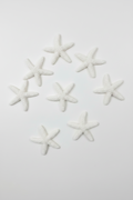 Pins étoile de mer